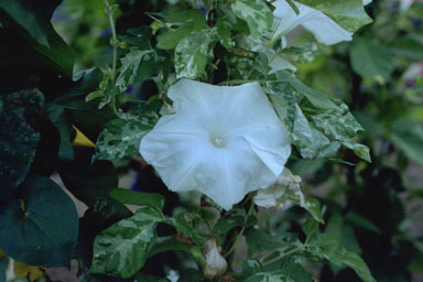 12010002