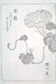 asagaofu-43