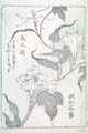 asagaofu-46