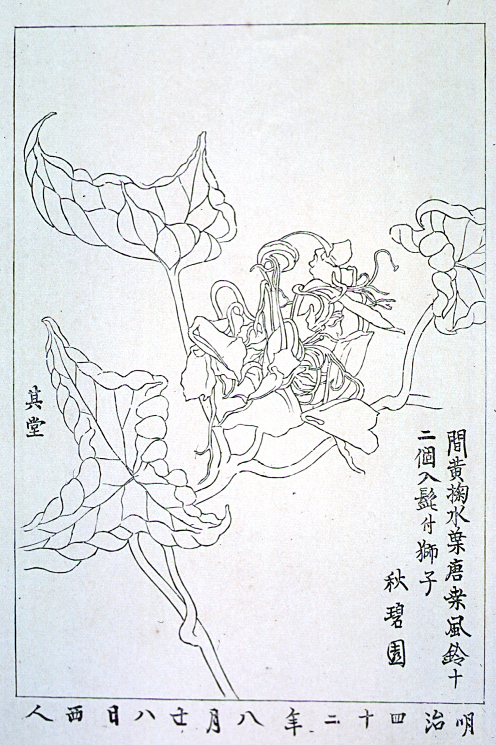 jokyu21-06
