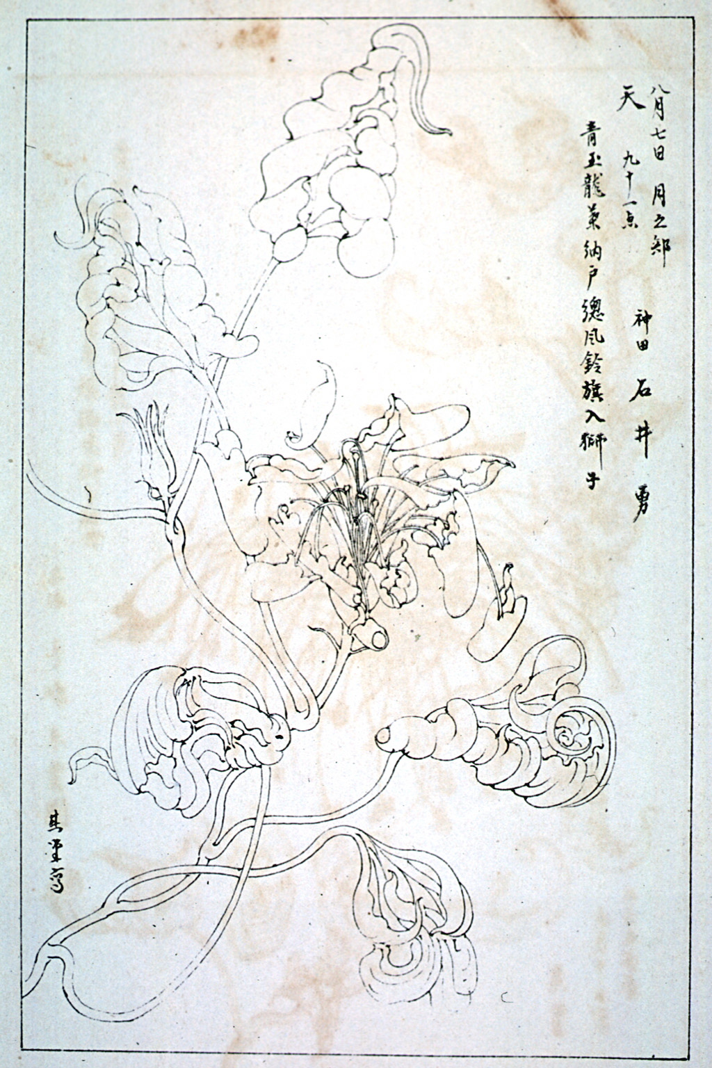 kishun15-28