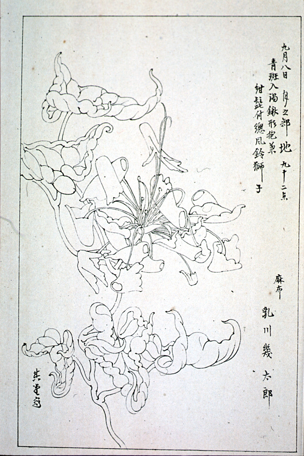 kishun15-73