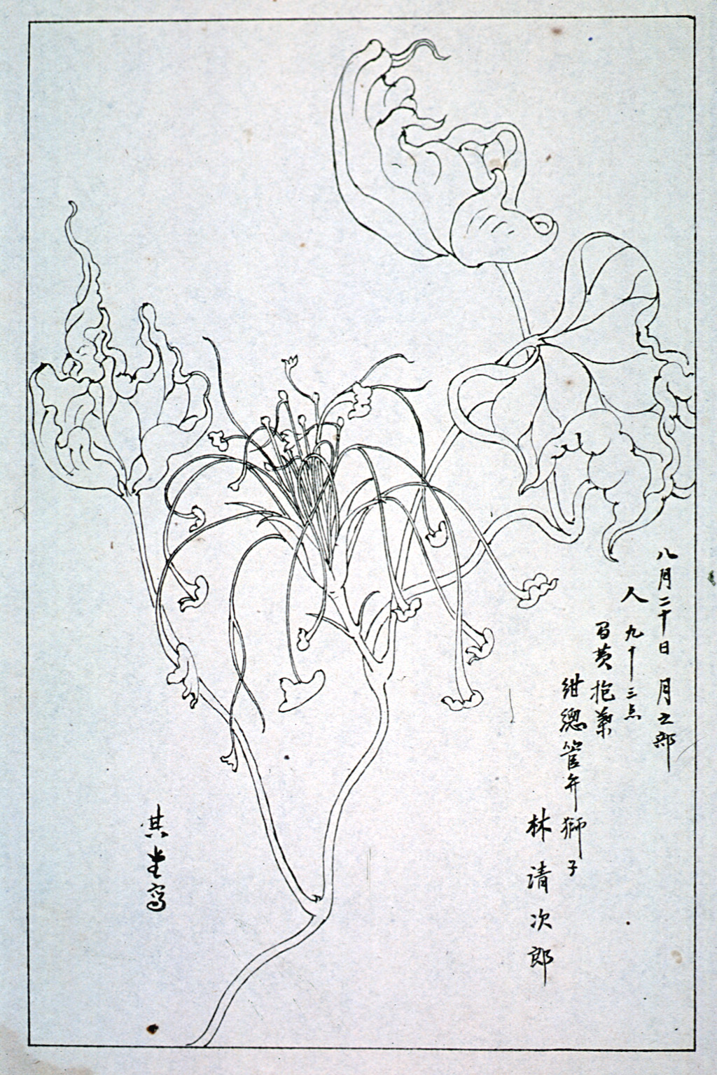 kishun16-39