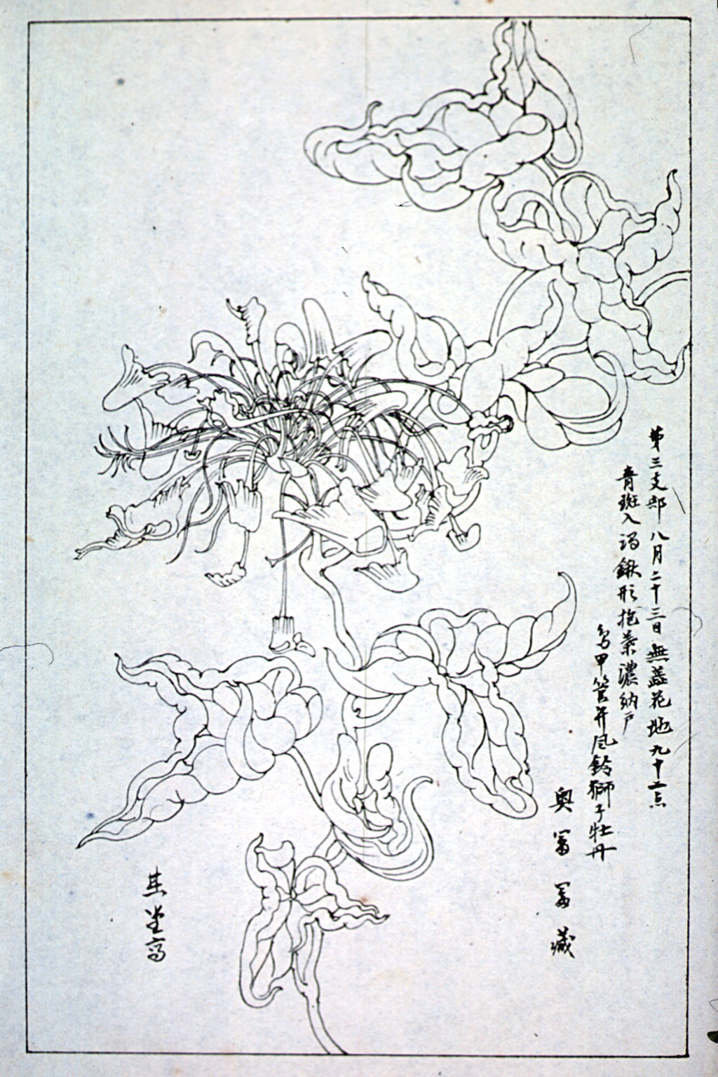 kishun16-43