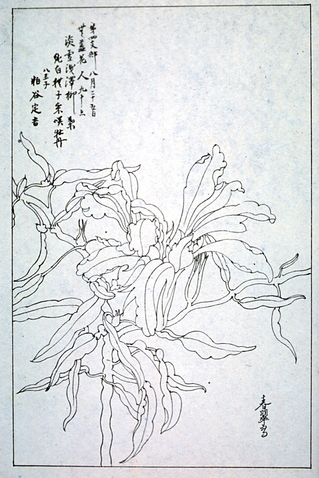 kishun16-49