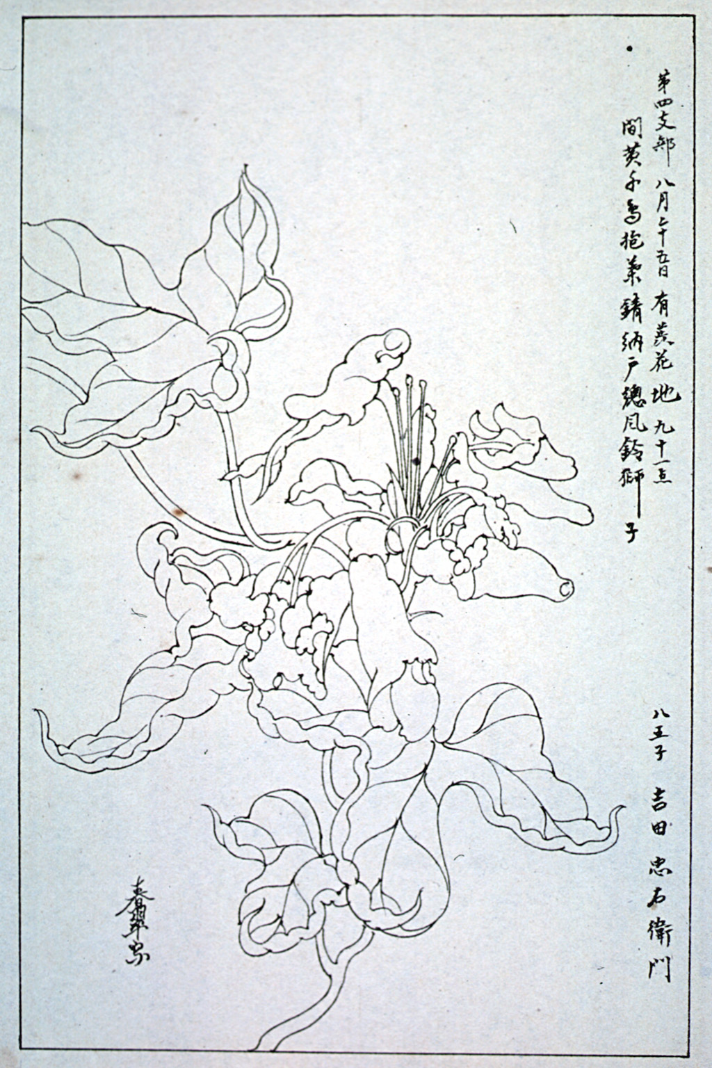 kishun16-51