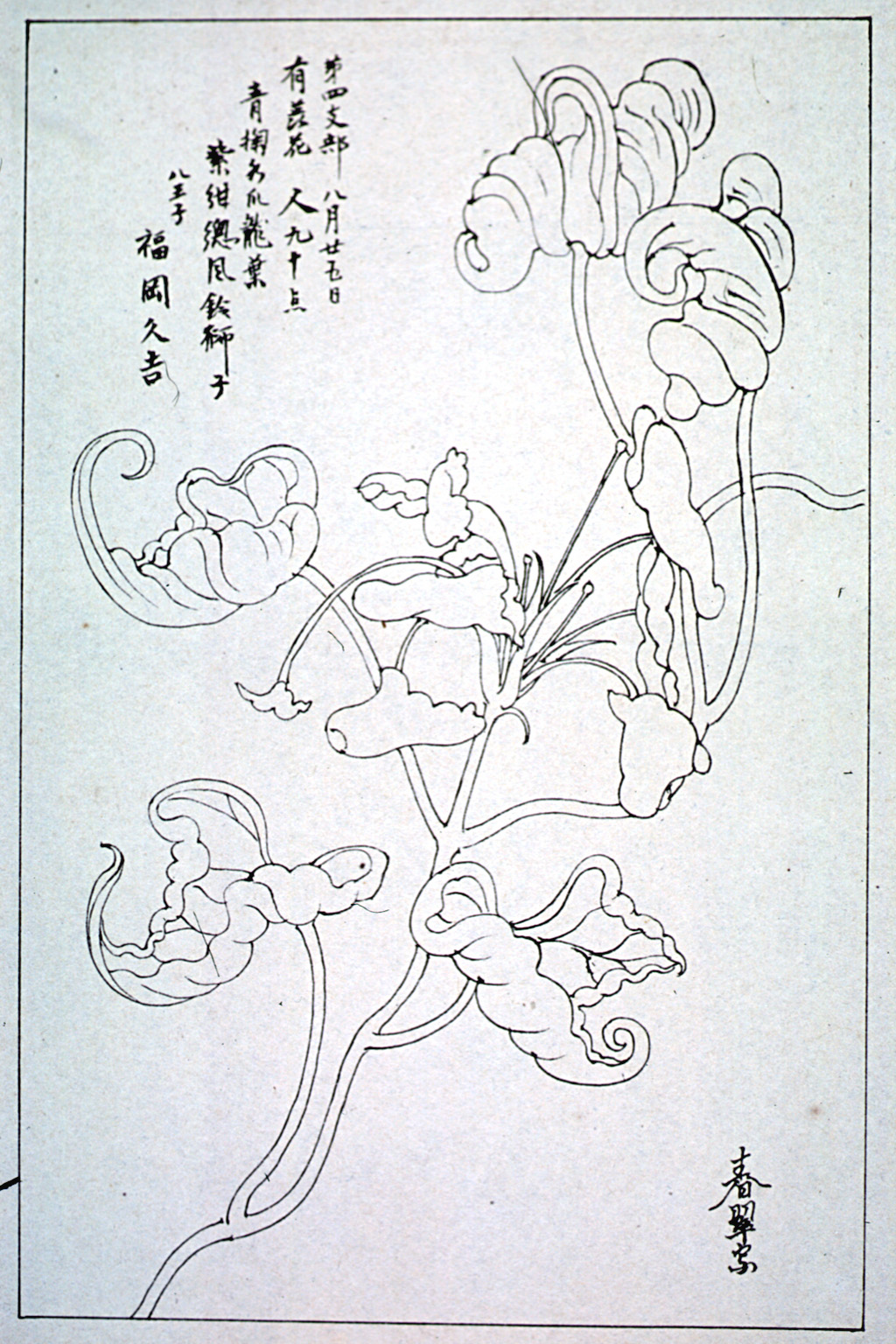 kishun16-52