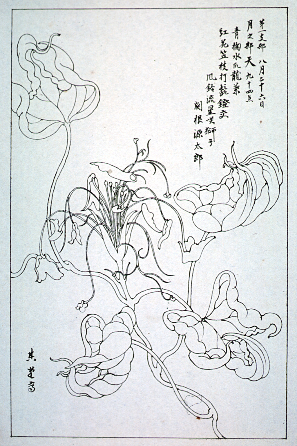 kishun16-54