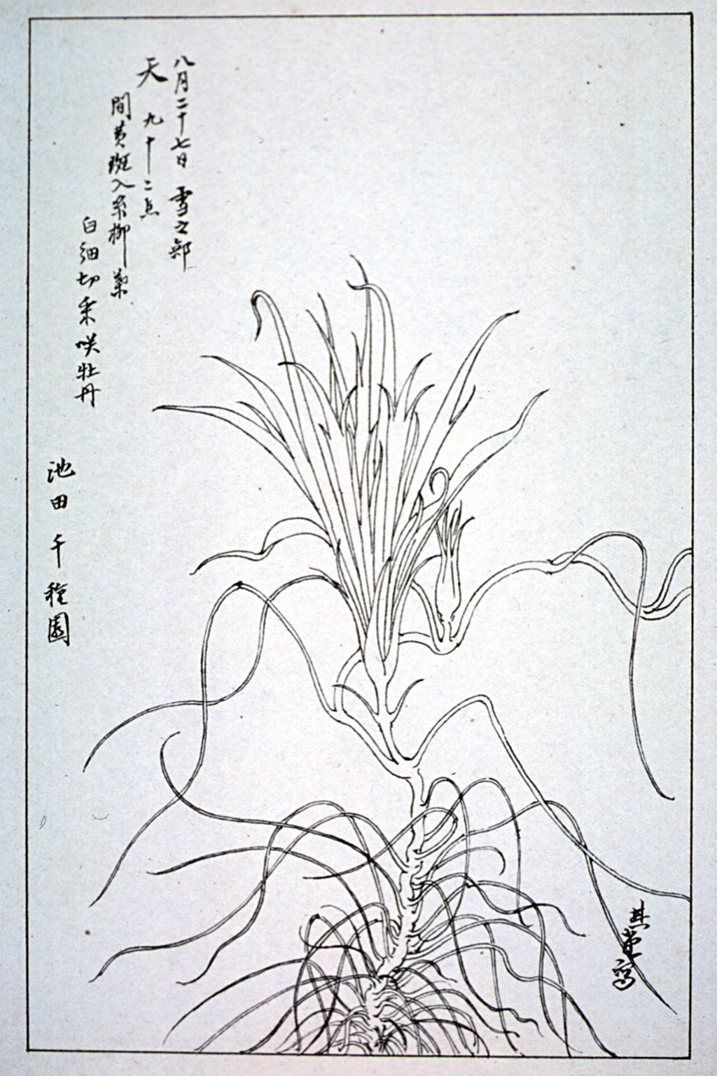 kishun16-55