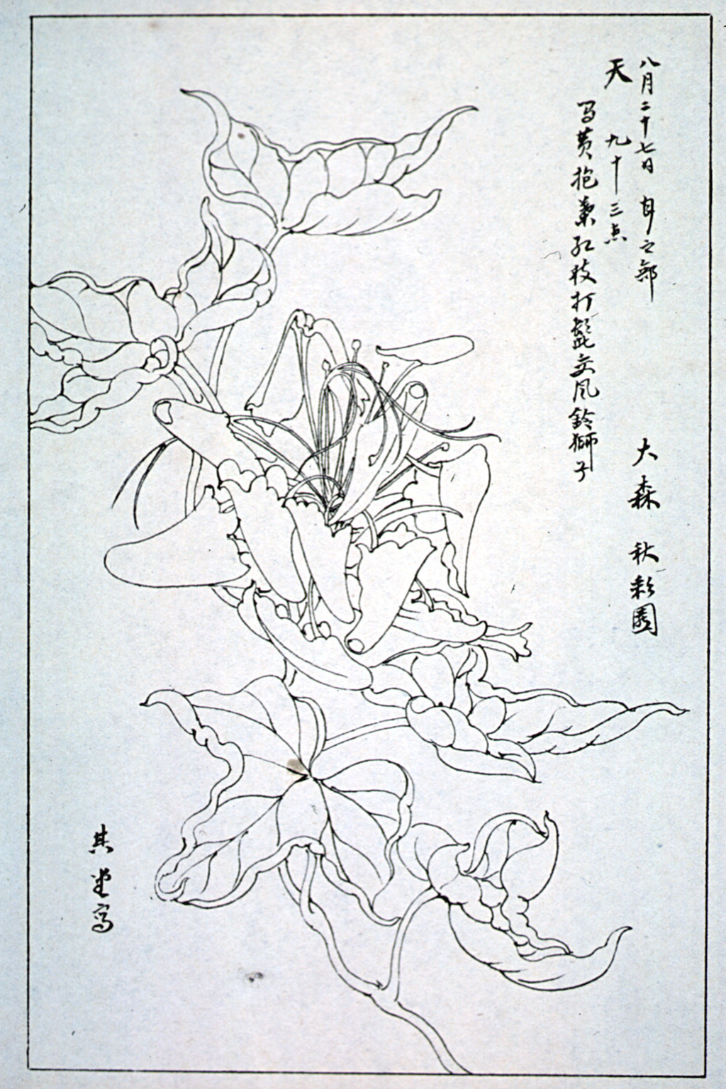 kishun16-56