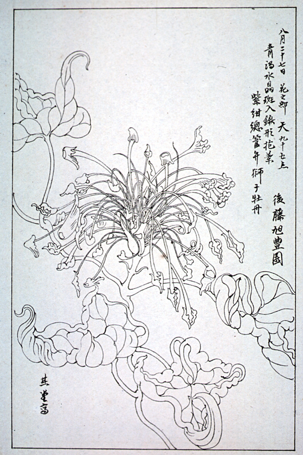 kishun16-57