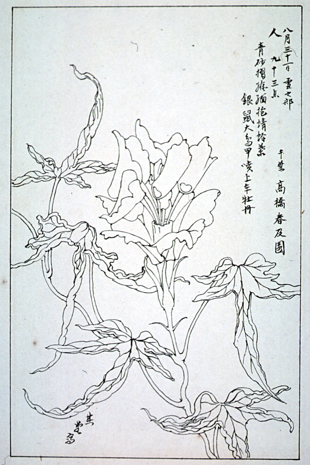 kishun16-59