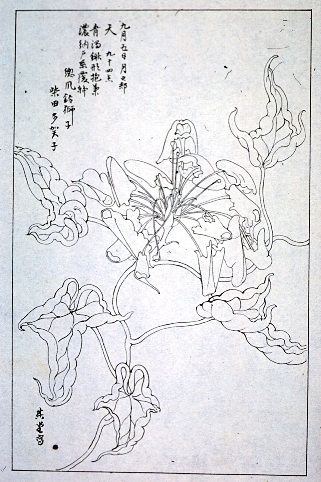 kishun16-64