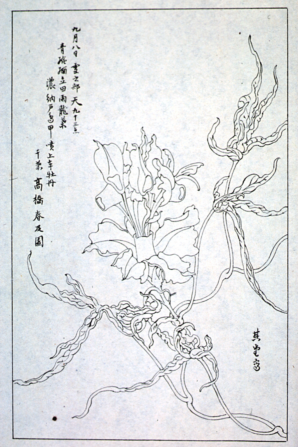 kishun16-65
