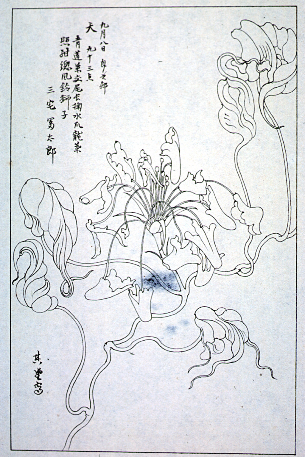 kishun16-66