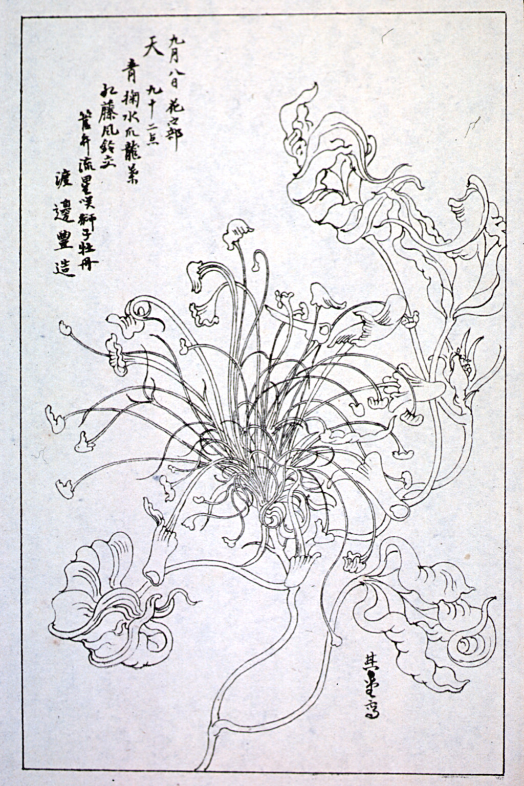 kishun16-67
