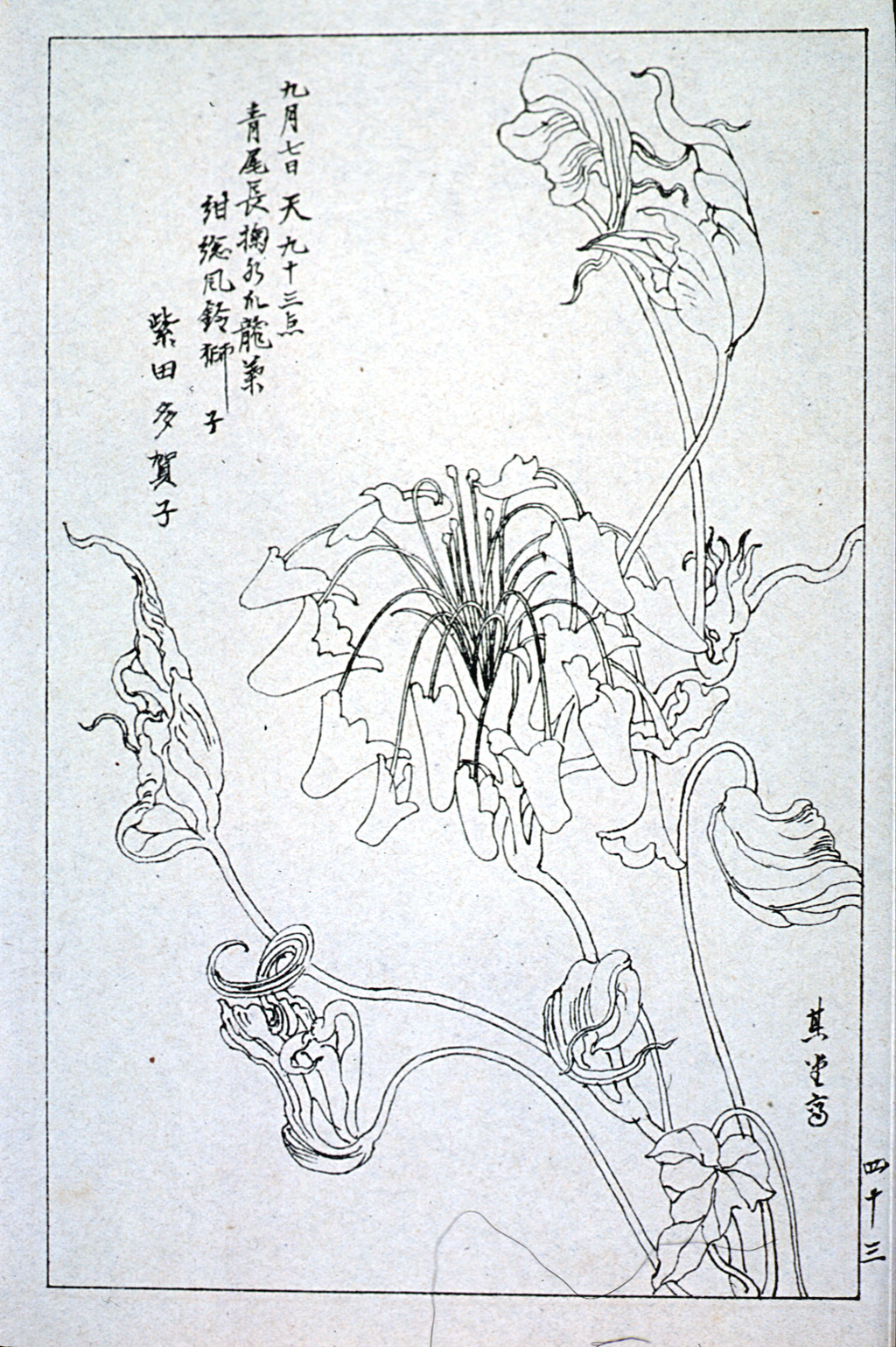 kishun17-44