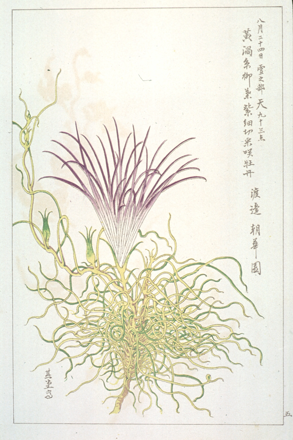 kishun18-05