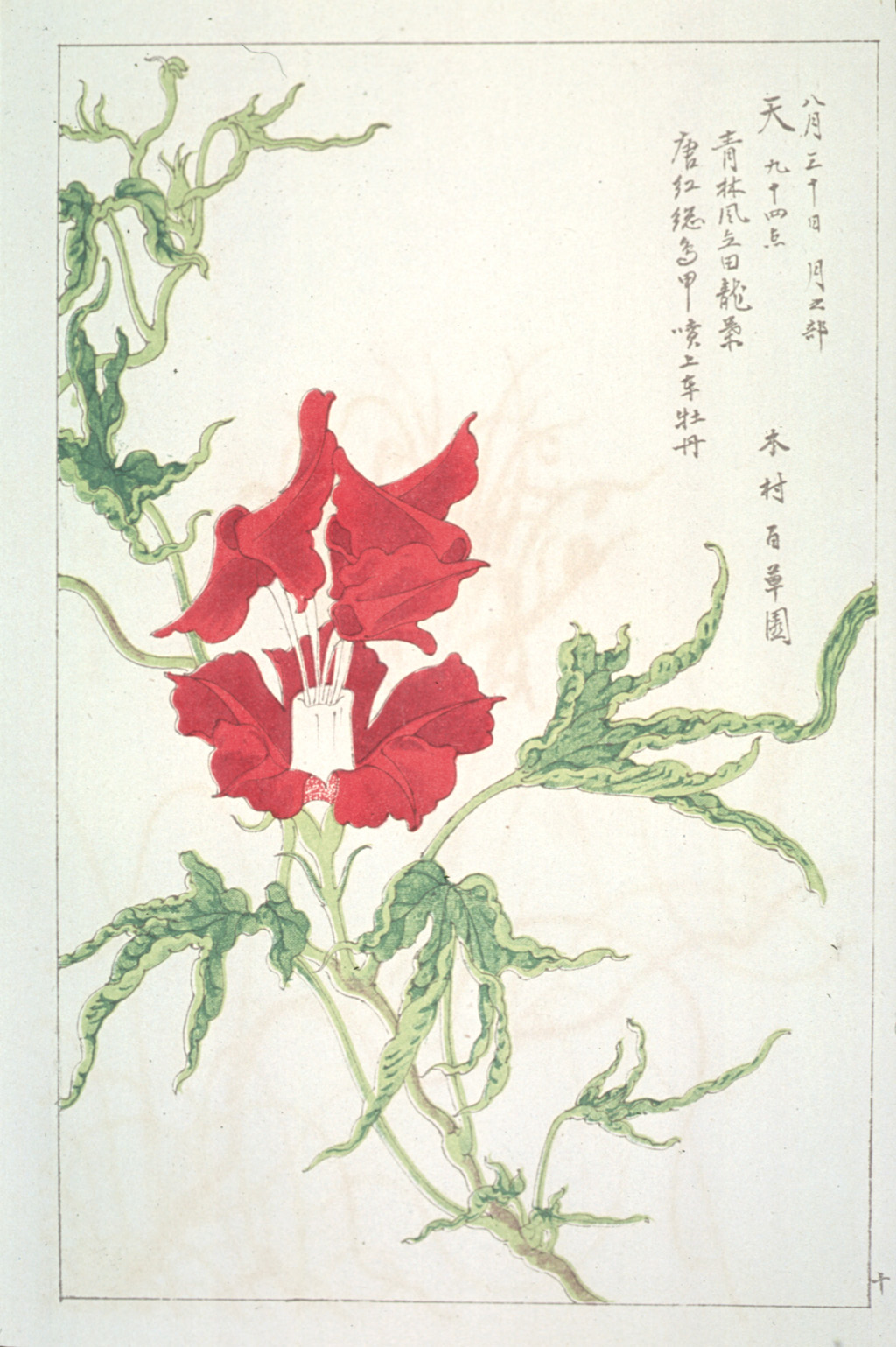 kishun18-10
