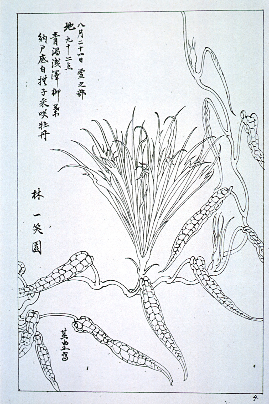 kishun18-20
