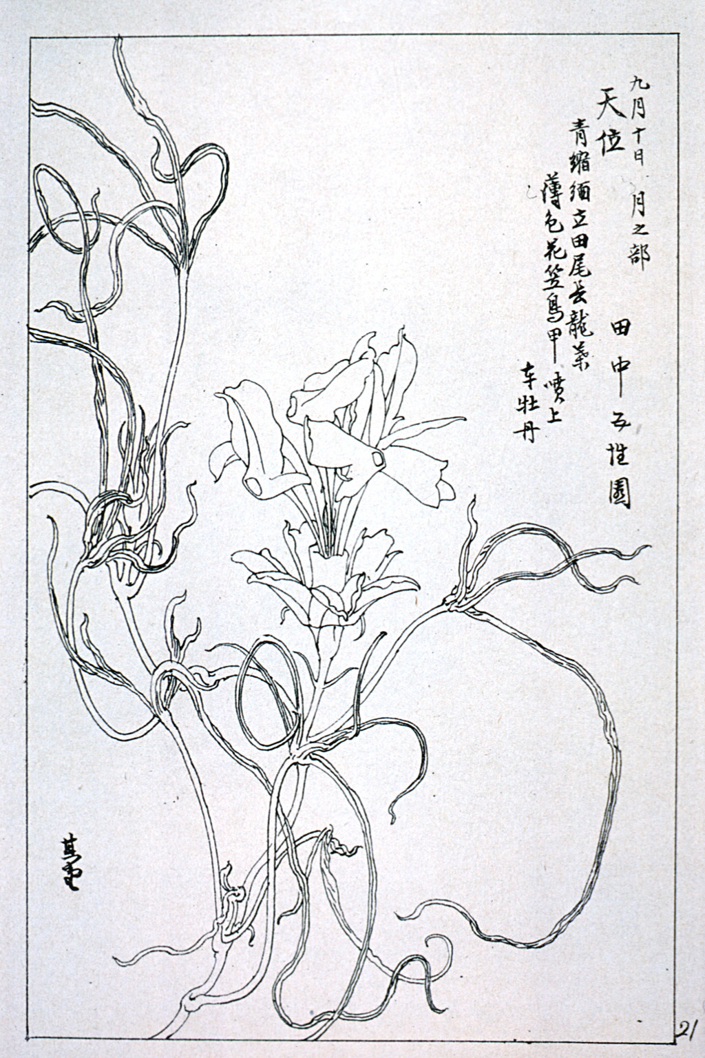kishun19-31