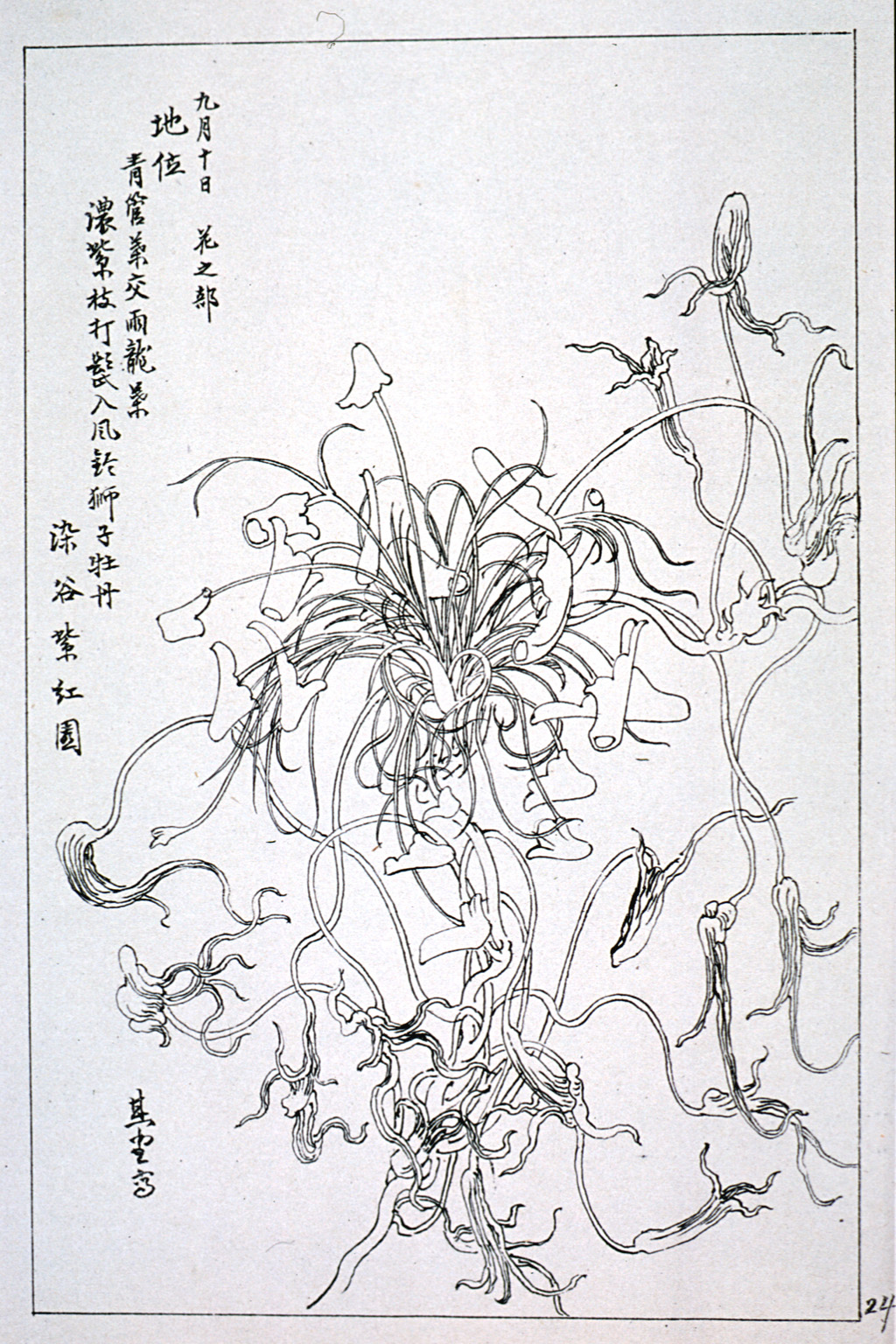 kishun19-34