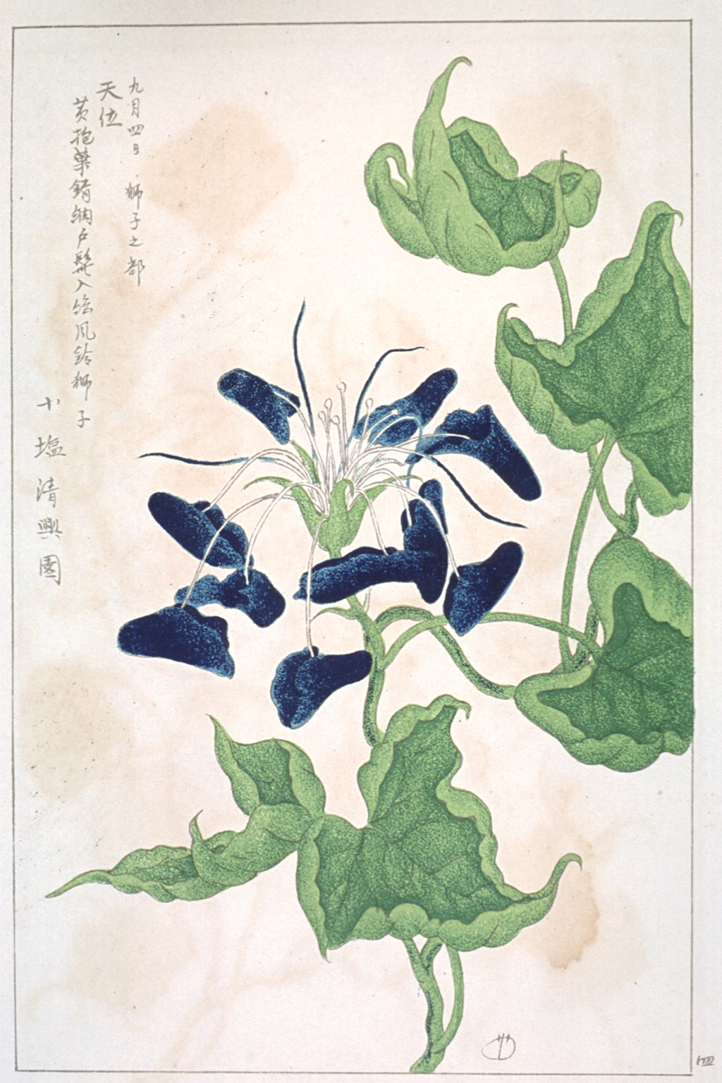 kishun20-05