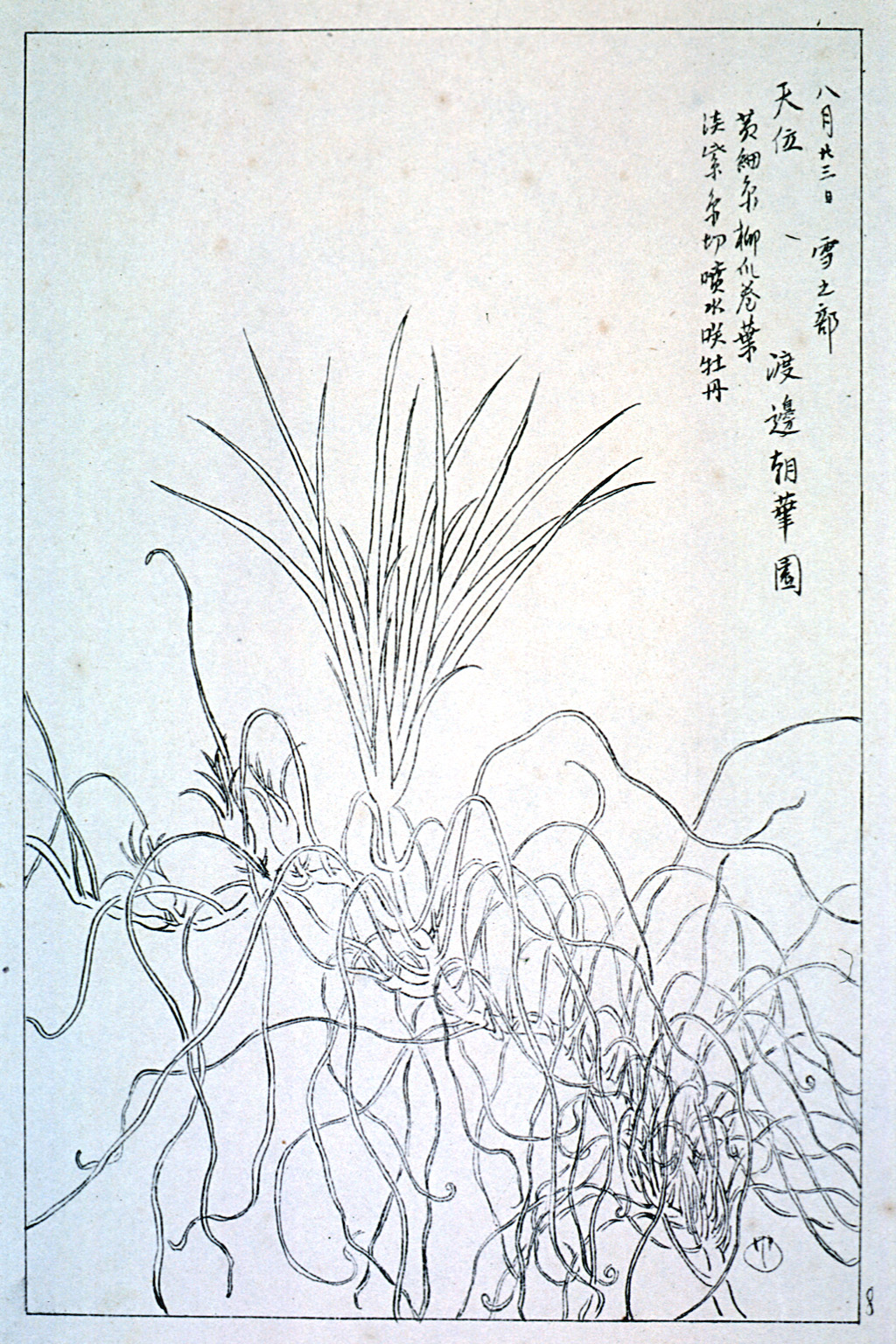 kishun20-16