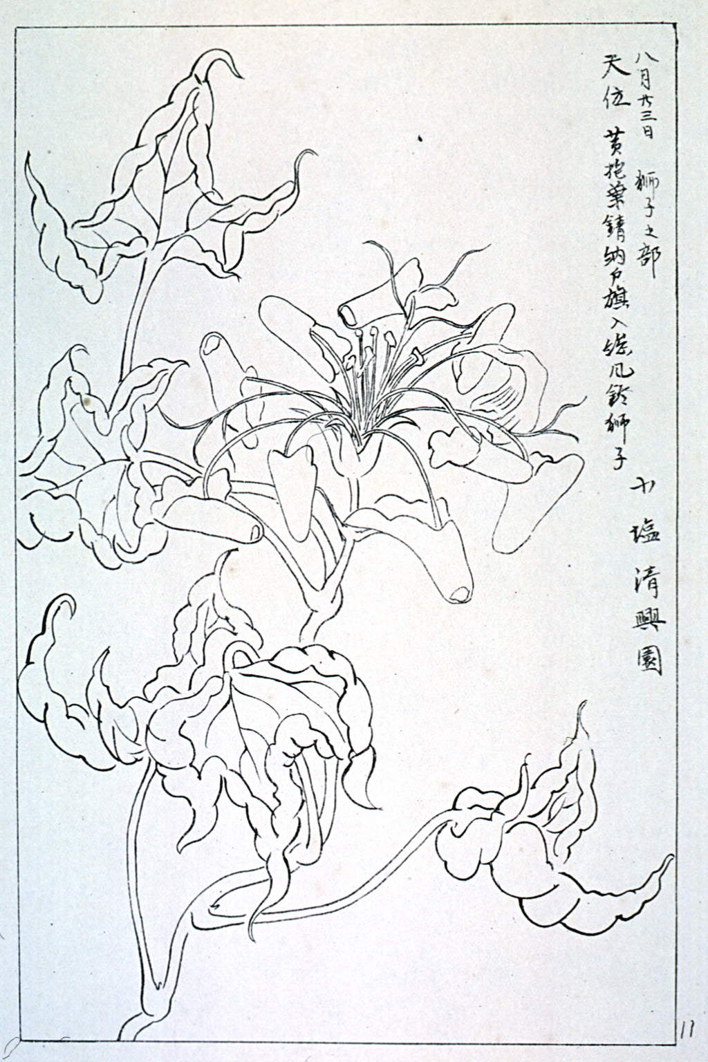 kishun20-19
