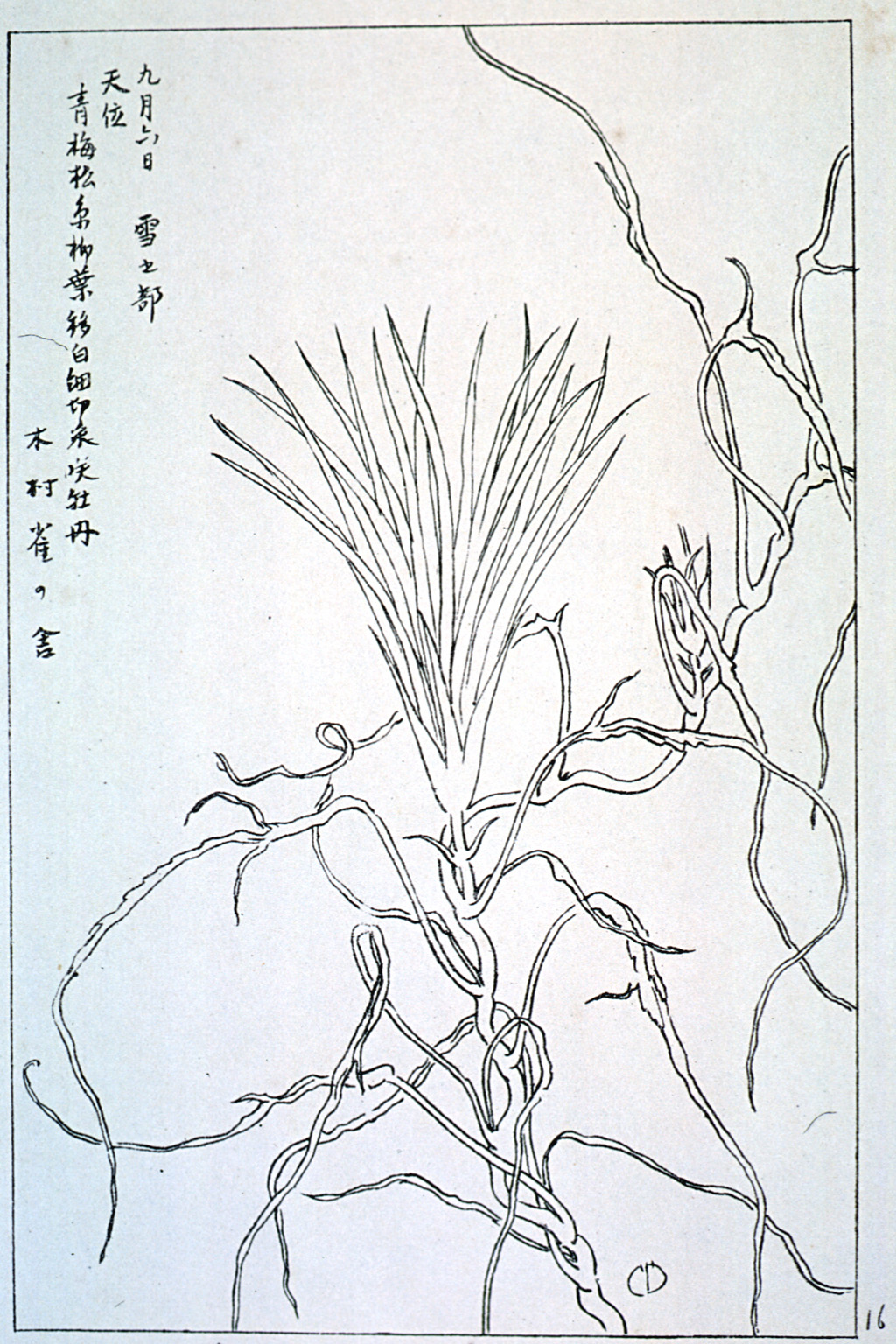 kishun20-24