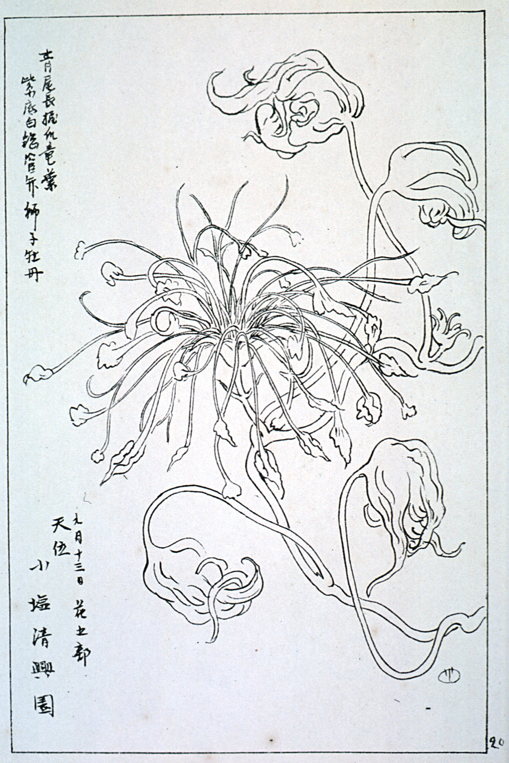 kishun20-28
