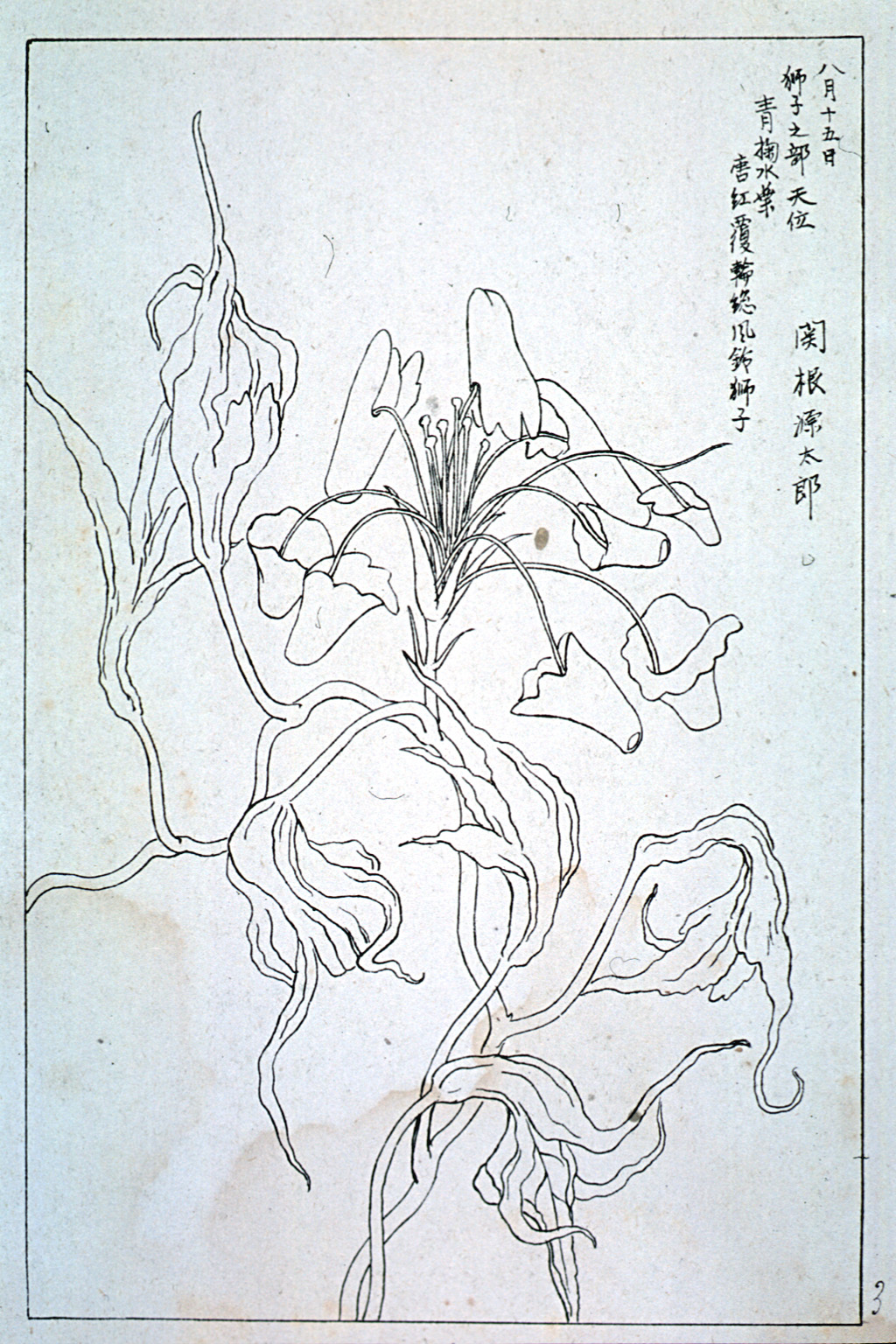 kishun21-19