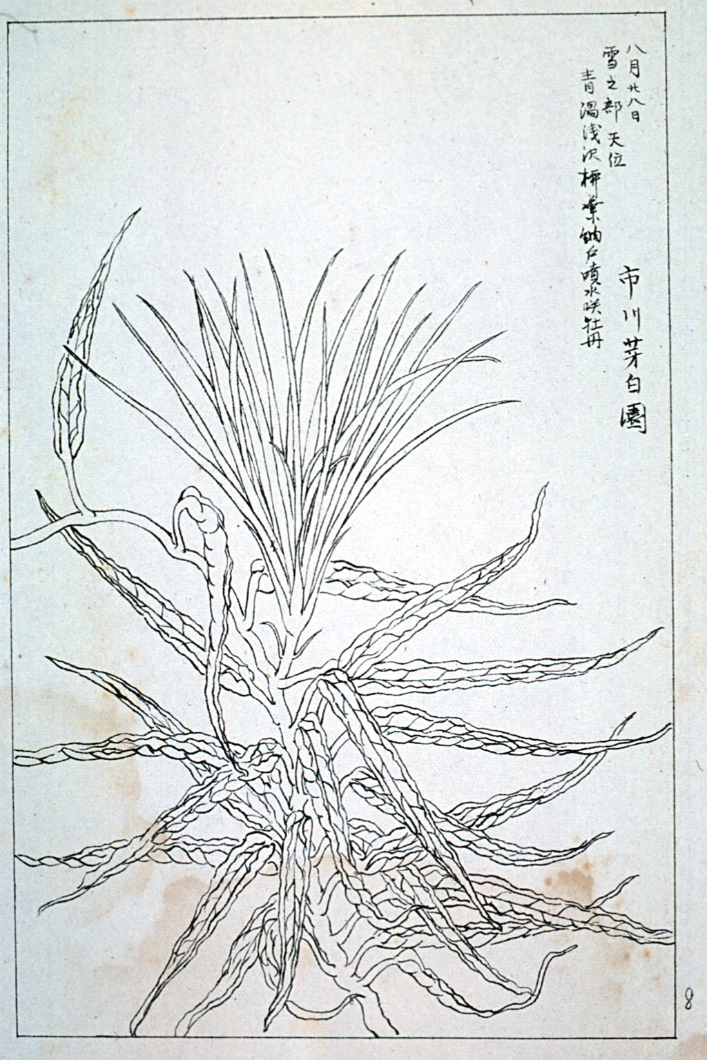 kishun21-24