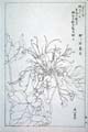 kishun17-23