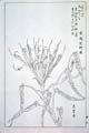 kishun17-24