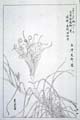 kishun17-25