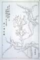 kishun17-32