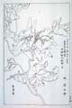 kishun17-35