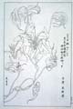 kishun17-39