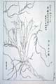 kishun17-40
