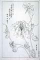 kishun17-44