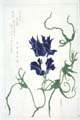 kishun19-05