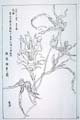 kishun19-20