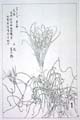 kishun19-24