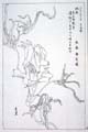 kishun19-26