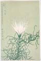 kishun20-07