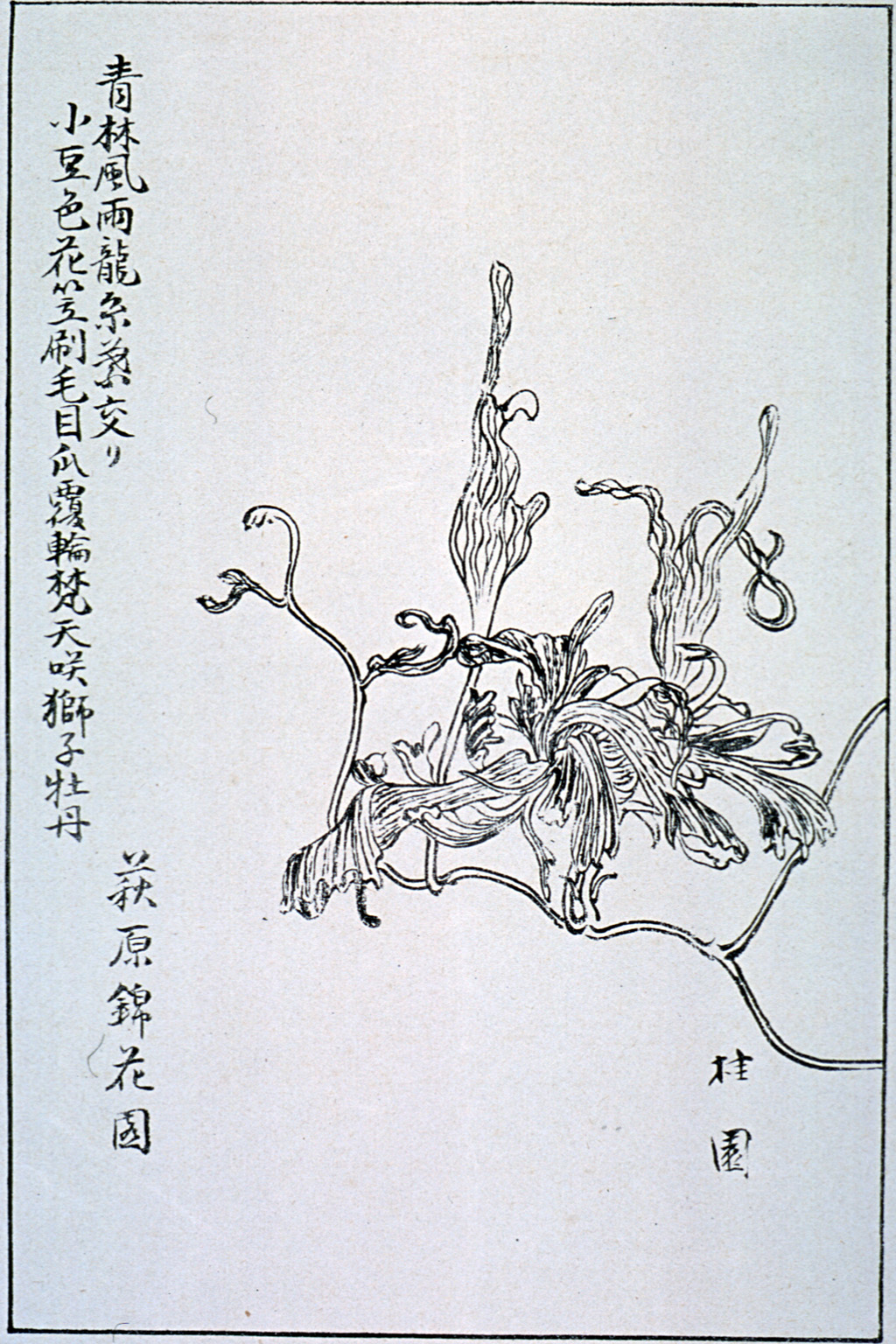 naniwak39-08
