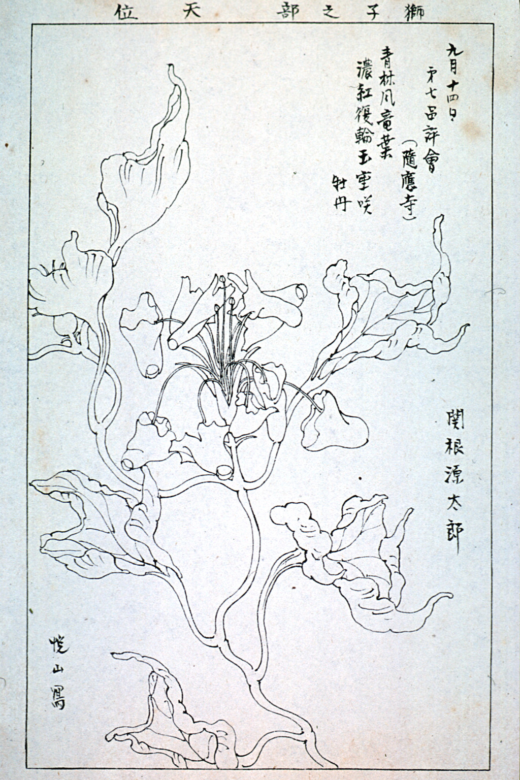 tokyo-t11-34