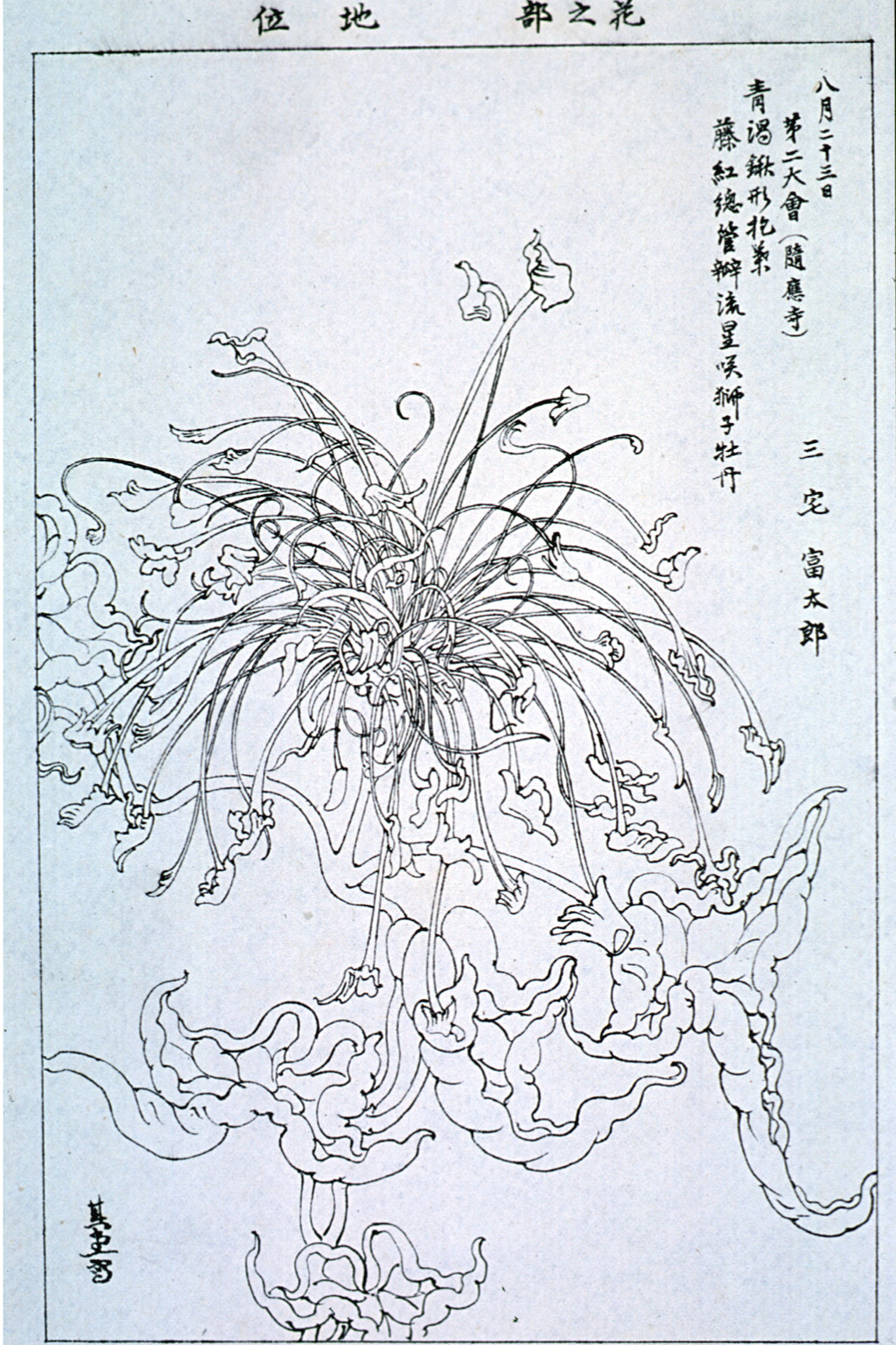 tokyo-t9-30