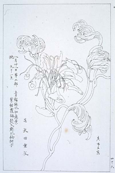 kishun13-47